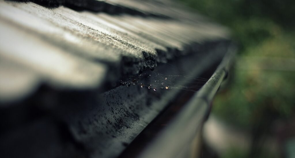 spider web in roof