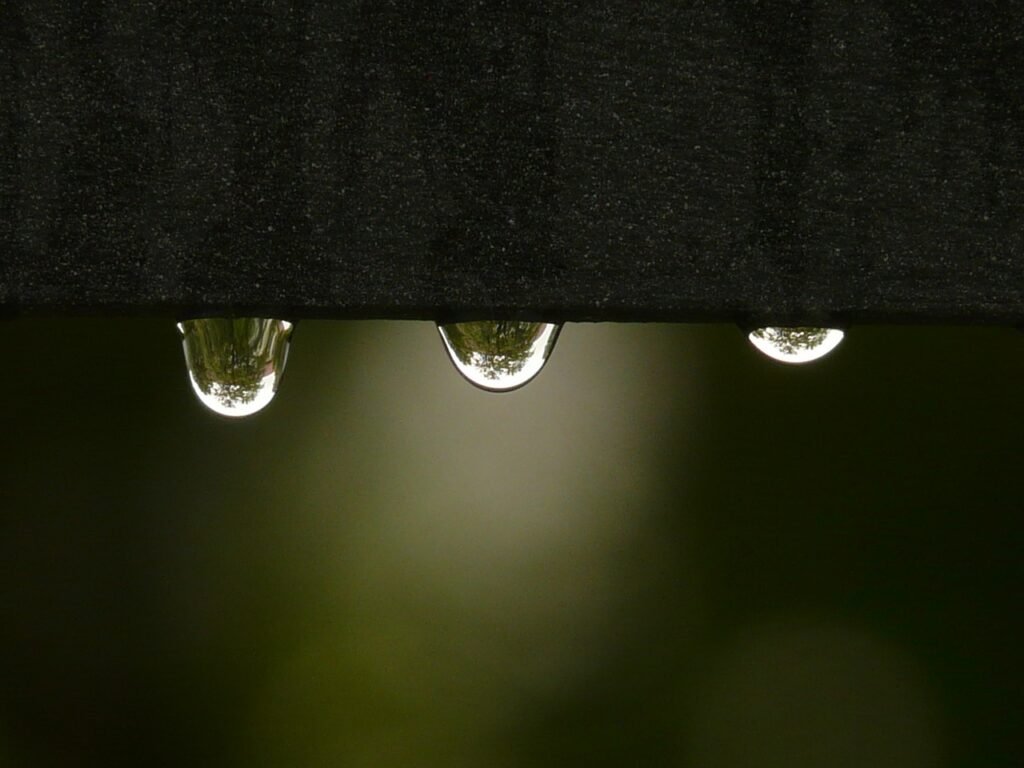 roof water leaks