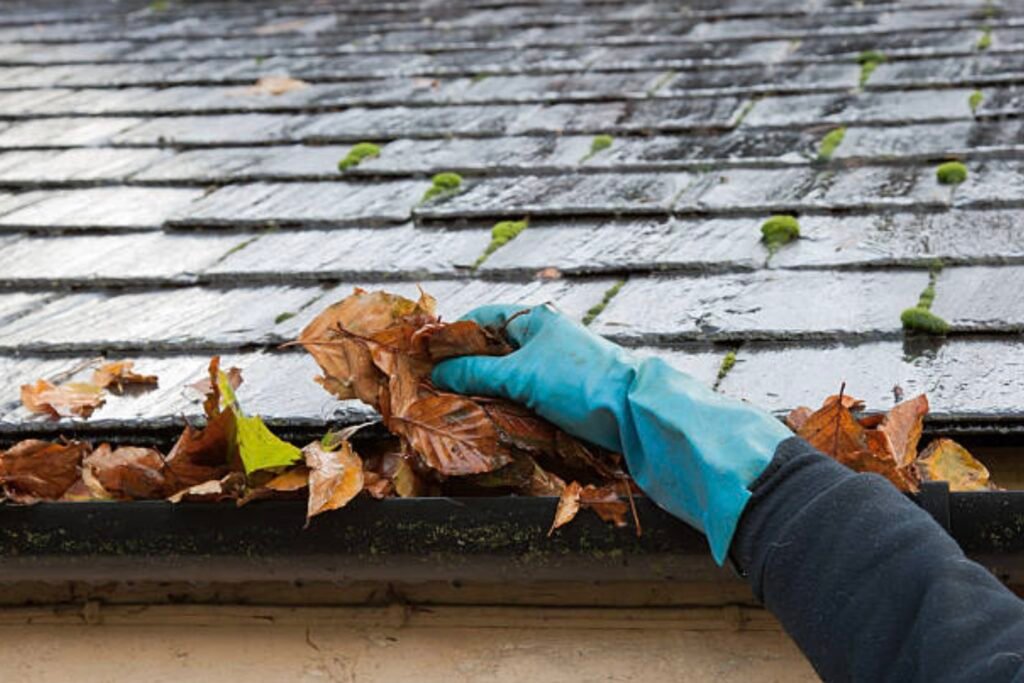 cleaning and maintenance of the roof