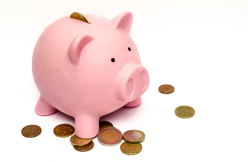 piggy coin bank