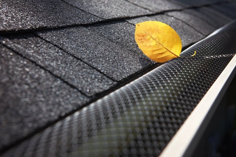 yellow leaf on screen gutter guards
