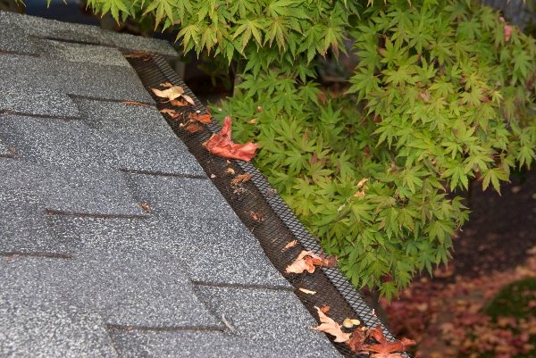 leaves on mesh gutter guards