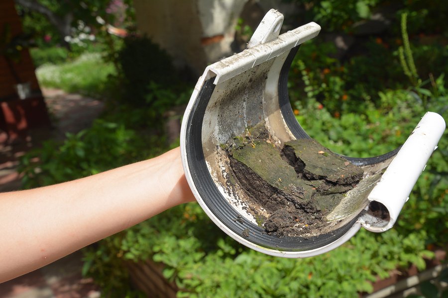 gutter cleaning tips