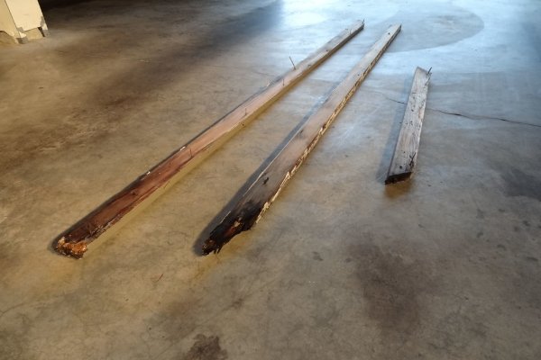 dry rot in attic