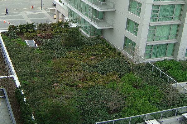 roof technology advancements